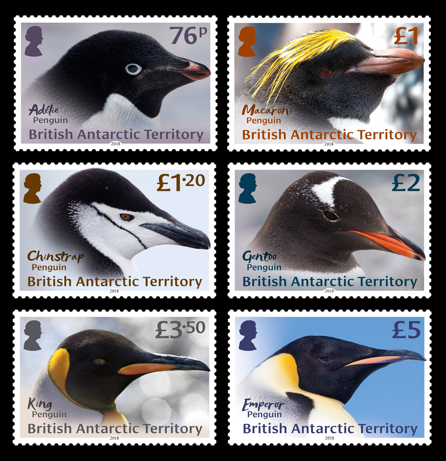 Six stamps of penguin headshots