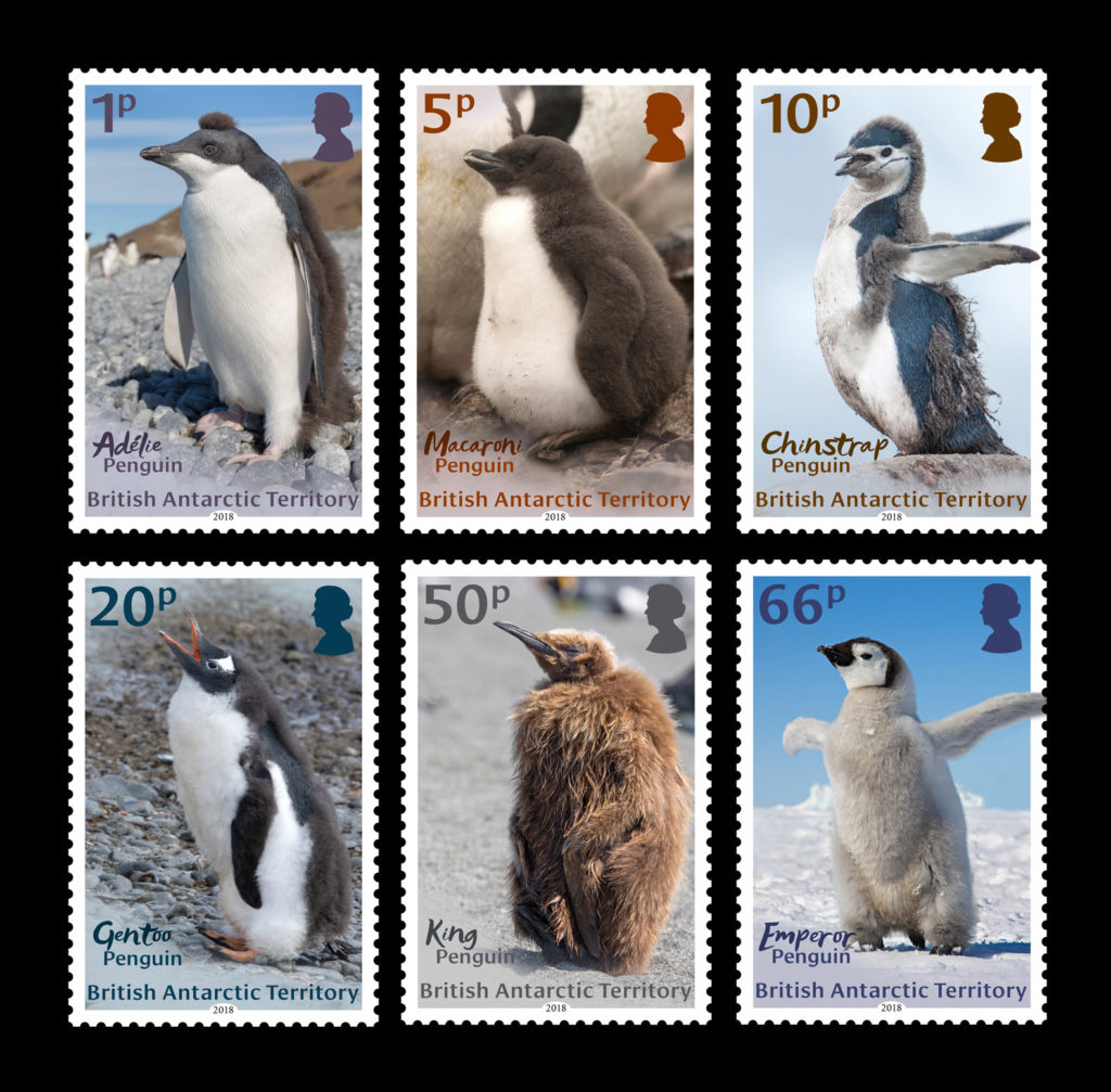 Six stamps of penguin chicks
