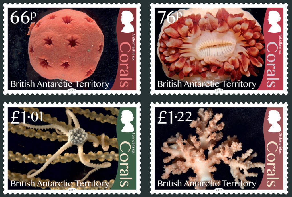 Four stamps showing different corals