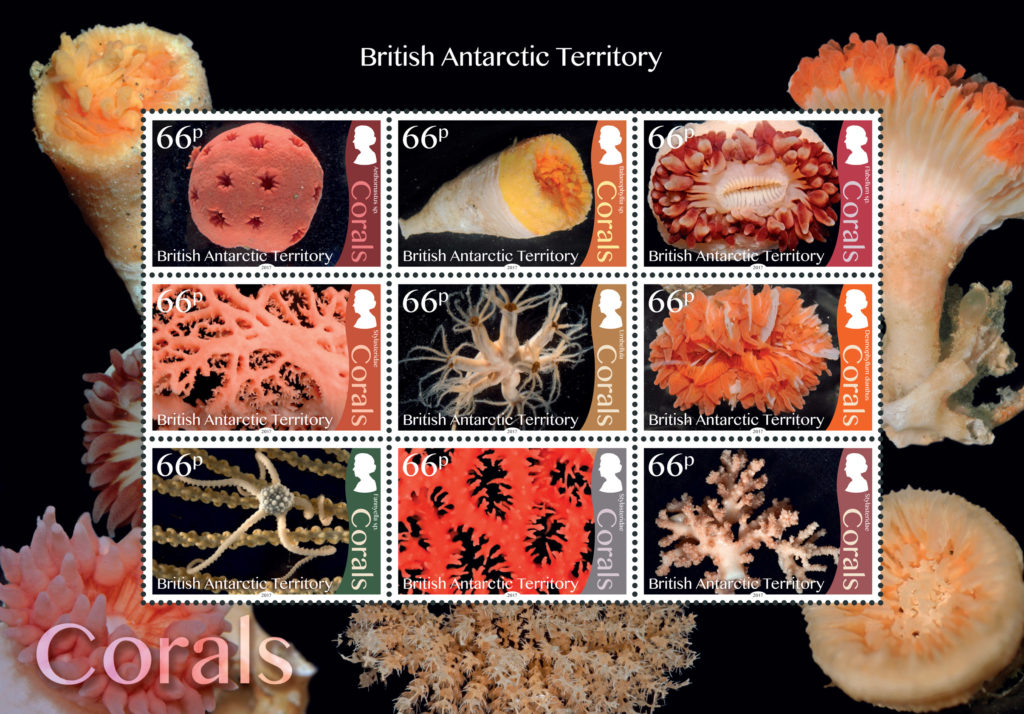 Nine stamps of different corals