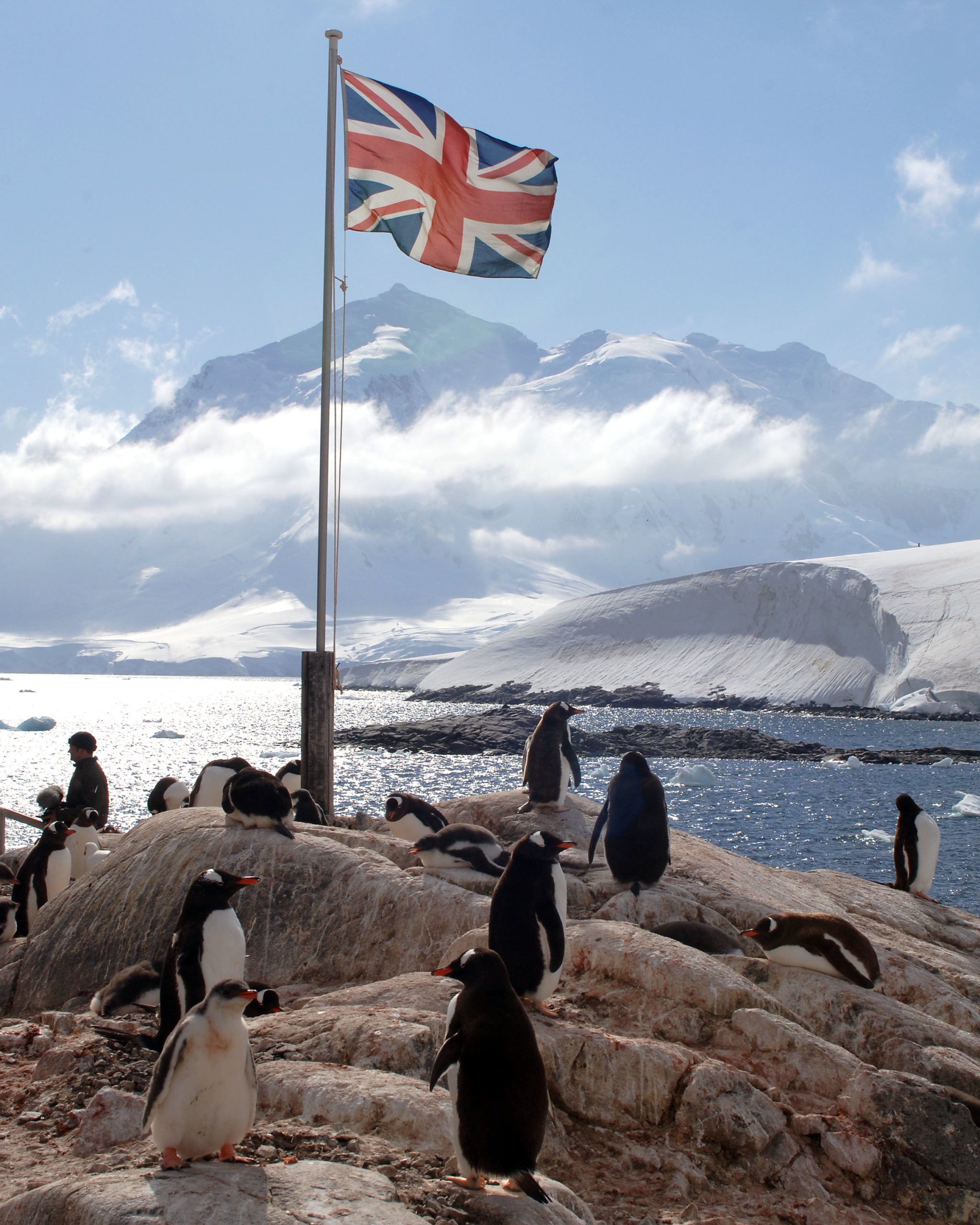 BLOG: Reflecting on the year ahead - British Antarctic Territory